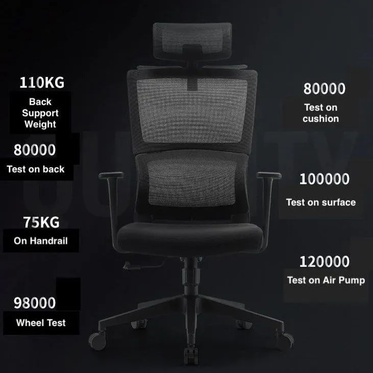 ACEZ Ergonomic Office Chair