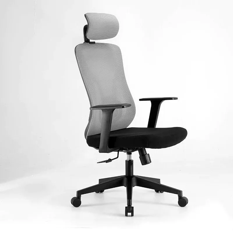 ACEZ Ergonomic Office Chair