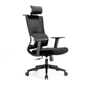 ACEZ Ergonomic Office Chair