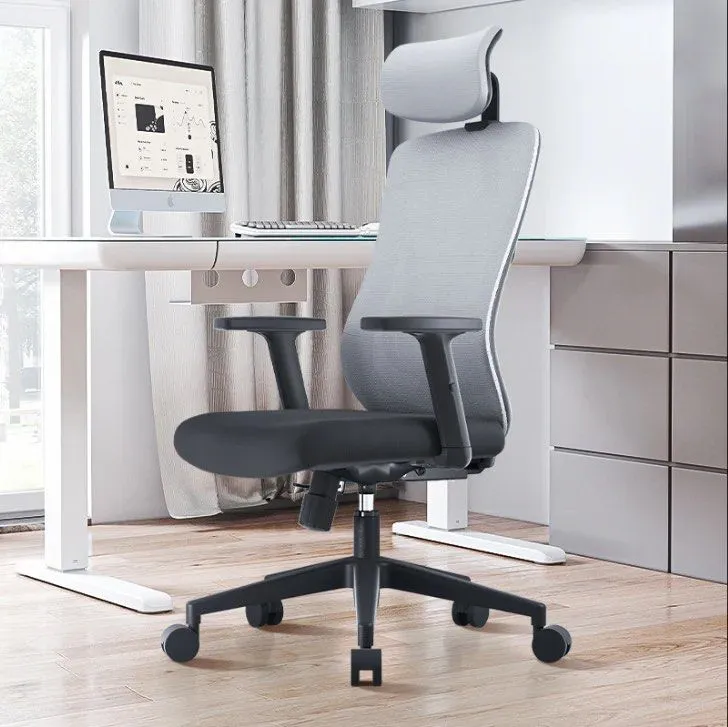 ACEZ Ergonomic Office Chair