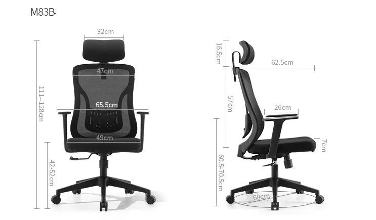 ACEZ Ergonomic Office Chair