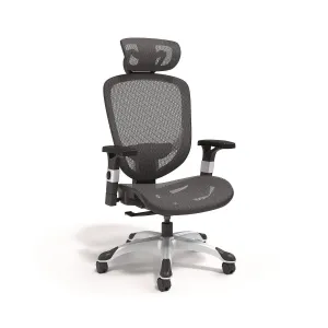 Alera® Minerva Ergonomic Mesh Swivel Task Chair, Supports Up to 275 lb, 17.24 to 20.98 Seat Height, Black Seat/Back, Silver Base