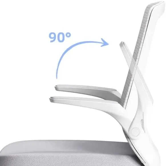 Classic Executive Office Chair with Adjustable Armrests and Metal Sled Base High Back Mesh Desk Chair for Adult Working Study Desk Task Chair(Orange)