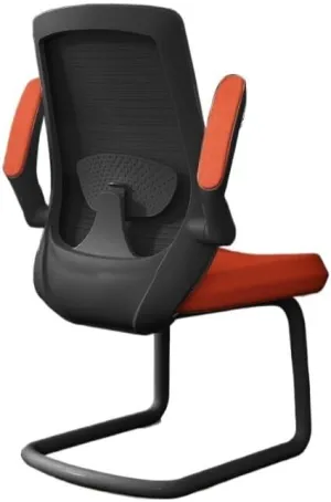 Classic Executive Office Chair with Adjustable Armrests and Metal Sled Base High Back Mesh Desk Chair for Adult Working Study Desk Task Chair(Orange)