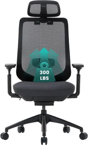 COLAMY Ergonomic Office Chair, Mesh Office Chair, High Back Office Chair, Computer Executive Desk Chair Lumbar Support with Adjustable Headrest and 4D Arms, Slide Seat, Tilt Lock-Black