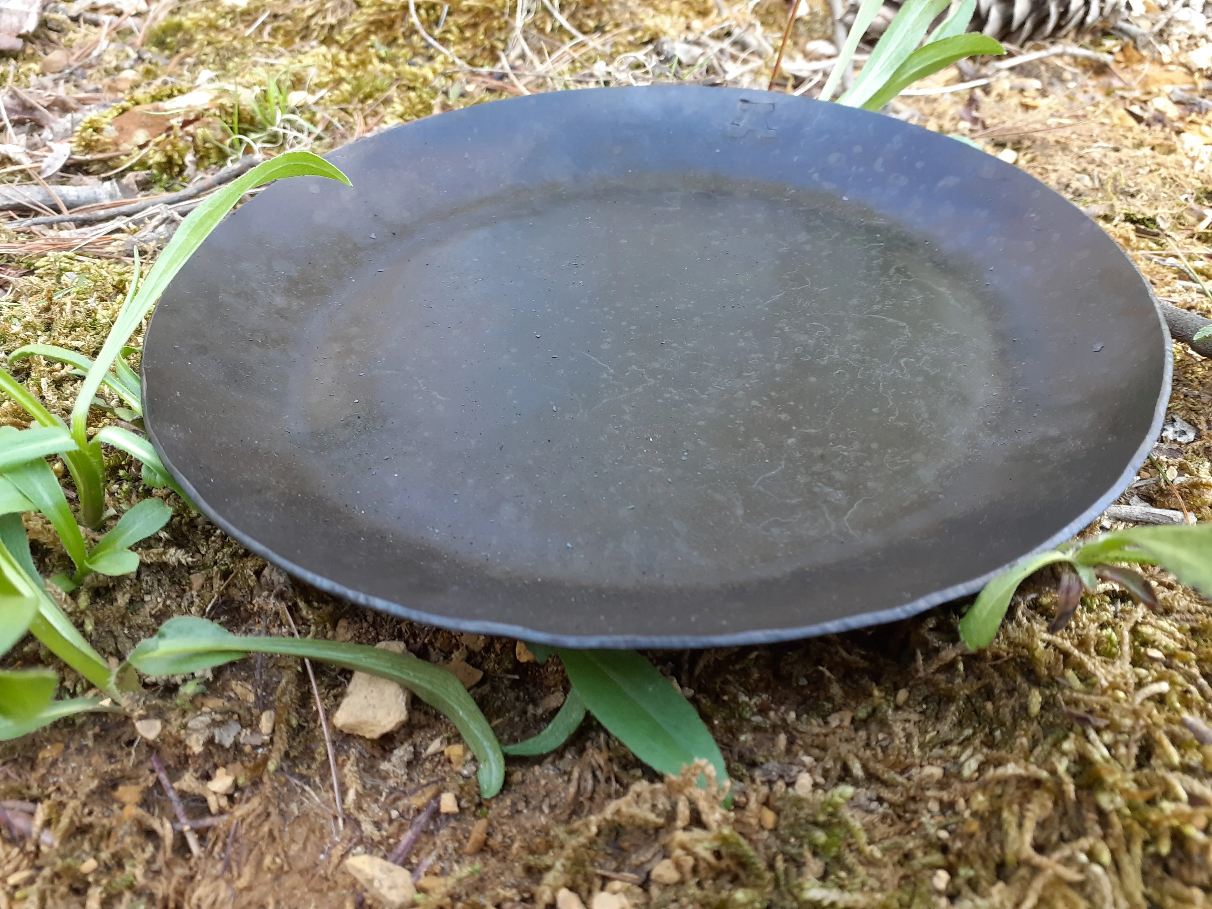 Cooking Plate / Handless Skillet