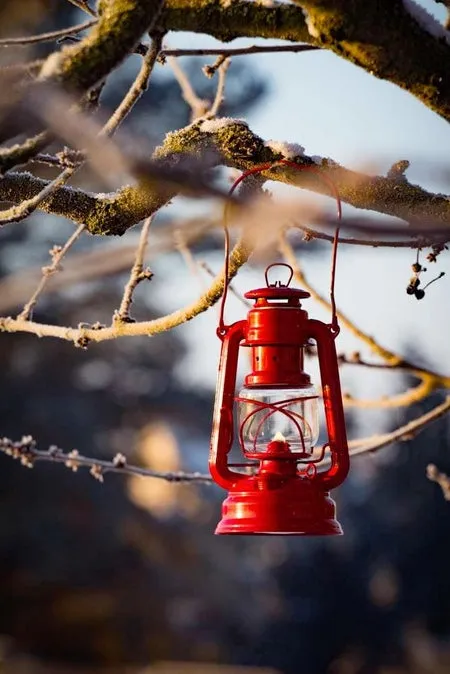 Feuerhand Baby Special 276 | Red | Storm Lantern