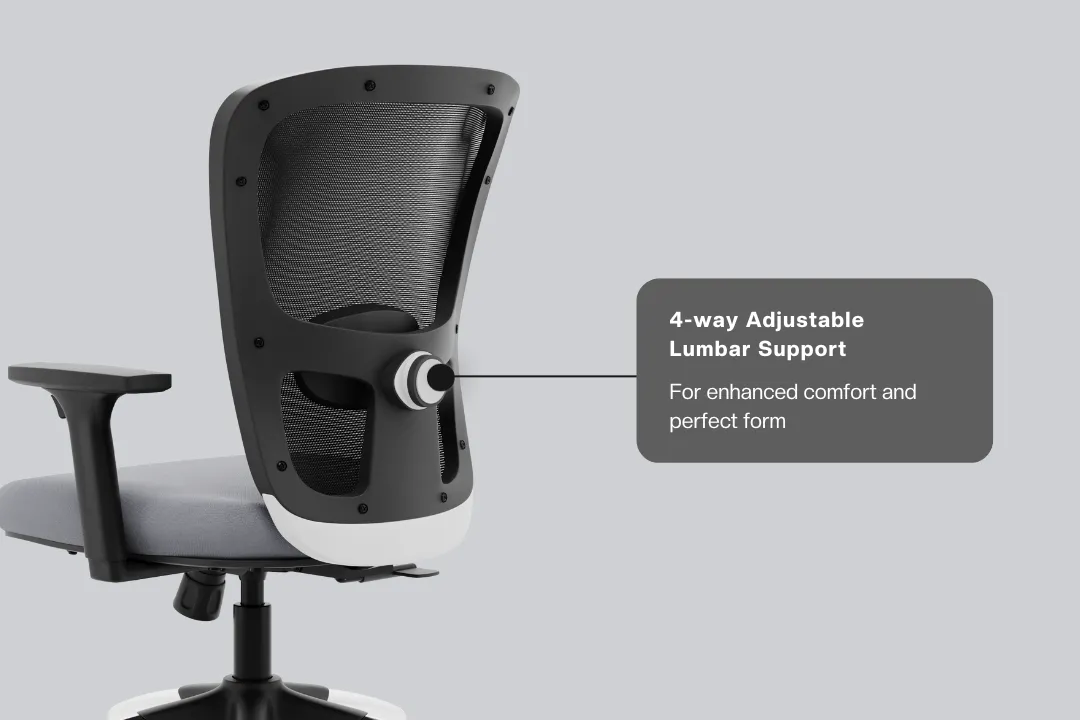 Green Soul Renewed Jupiter Superb Mid Back Office Chair