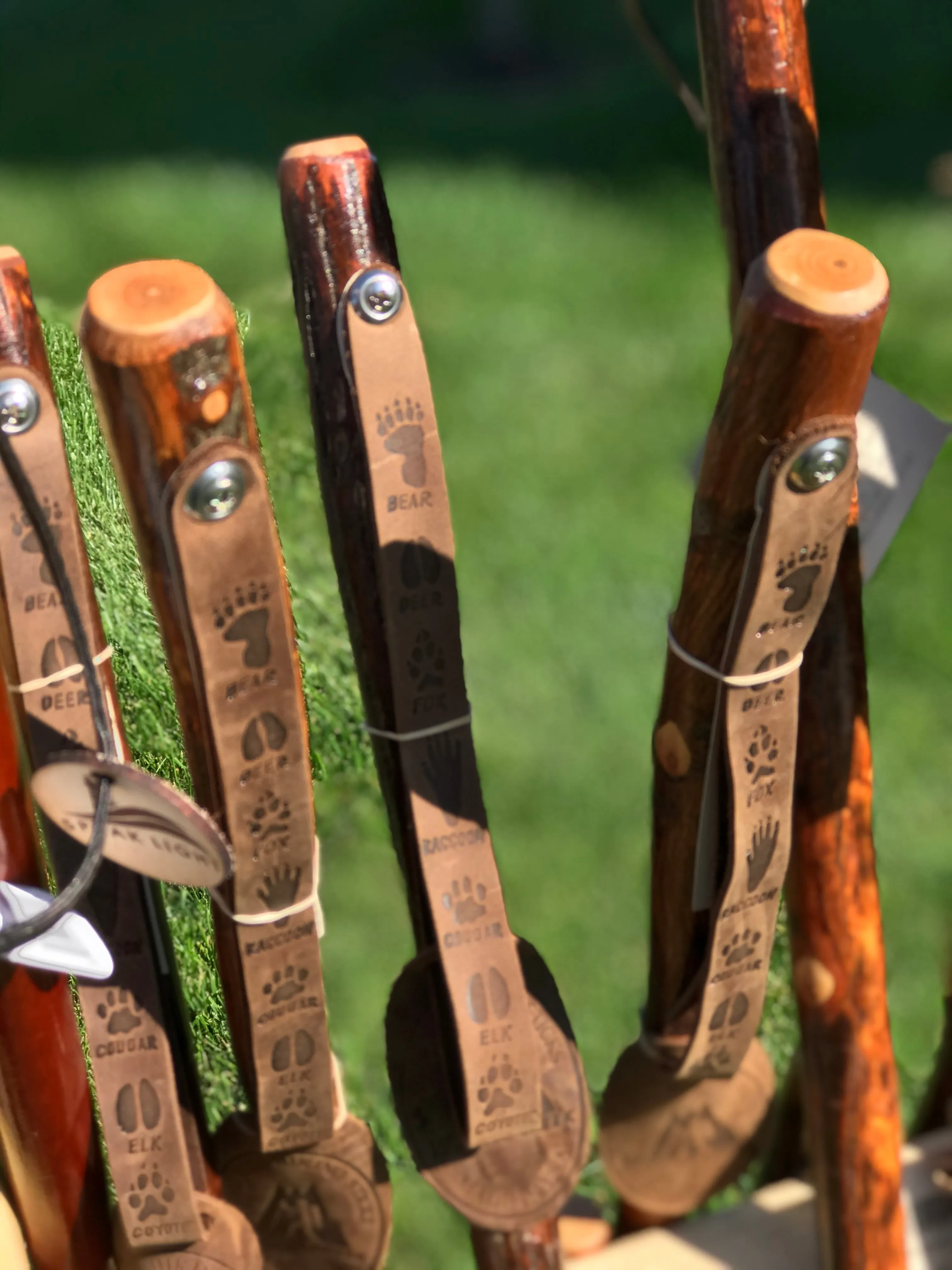 Hiking/ Walking Stick- 48" Hiking-Hickory Tracker