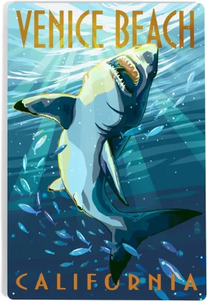 Lantern Press 12x18 Inch Metal Sign, Venice Beach, California, Great White Shark
