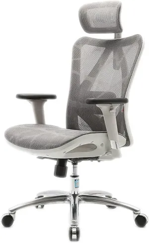 Office Desk Ergonomic Mesh Office Chair High-Back Desk Chair Rotating Computer Work Chair Study Home Comfortable Sedentary Computer Chair Home Office Chair (Color : Gray B)