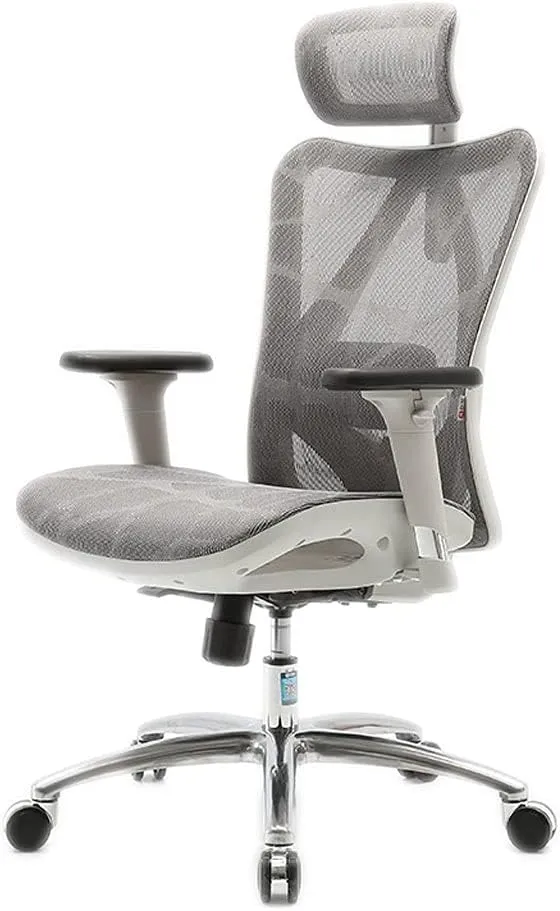Office Desk Ergonomic Mesh Office Chair High-Back Desk Chair Rotating Computer Work Chair Study Home Comfortable Sedentary Computer Chair Home Office Chair (Color : Gray B)