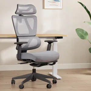 Oscar Ergonomic Mesh Chair