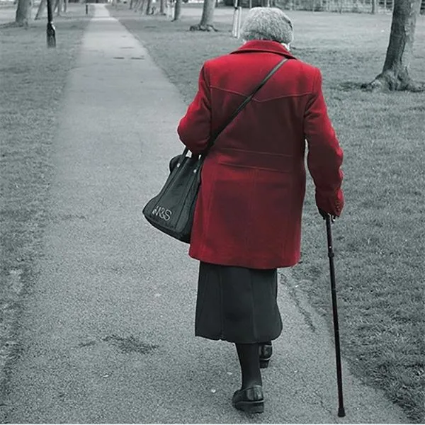 Portable Aluminum Folding Walking Travel Stick Cane