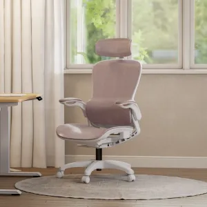 Remy Ergonomic Mesh Chair