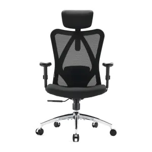 Sihoo M18 Classic Office Chair With Triple Spinal Relief