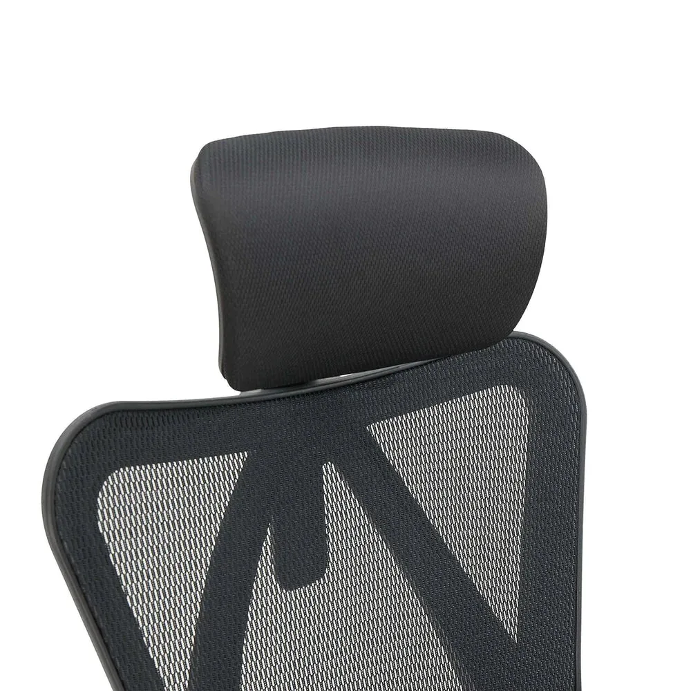 Sihoo M18 Classic Office Chair With Triple Spinal Relief