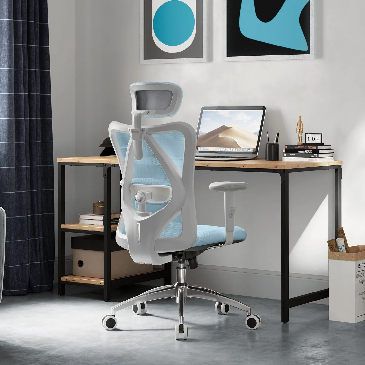 Sihoo M18 Classic Office Chair With Triple Spinal Relief