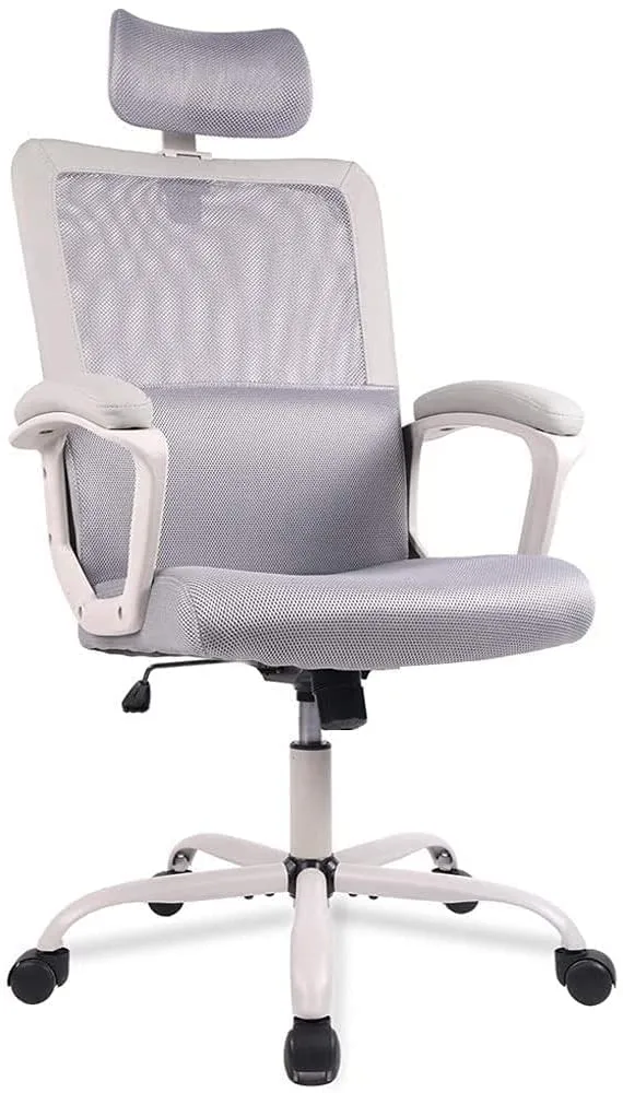 SMUG Home Office Chair, Mid Back Desk Chair Ergonomic Computer Chair Executive Rolling Swivel Height Adjustable Mesh Task Chair with Lumbar Support Armrest (Mesh Back, Black)