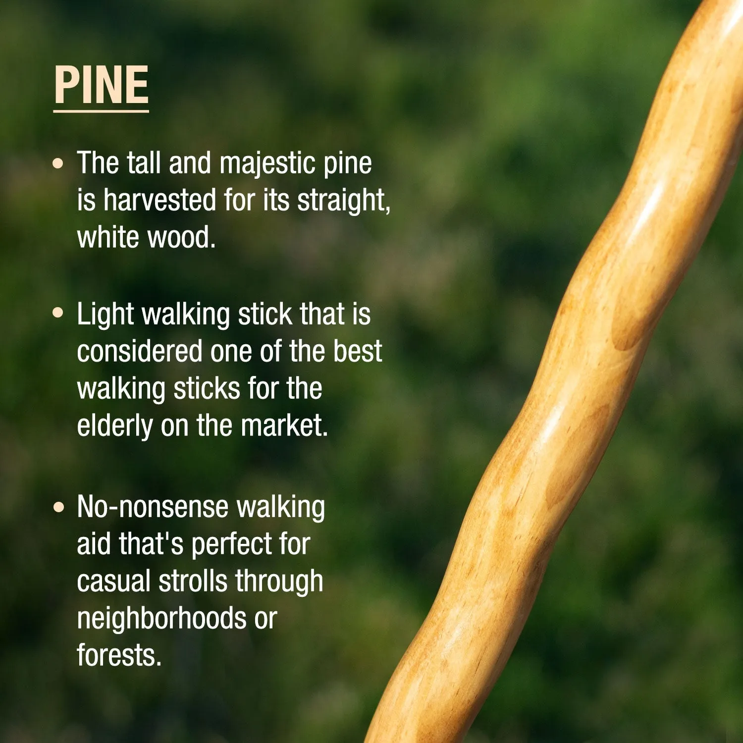Twisted Trail Blazer Handcrafted Walking Stick - 6pk