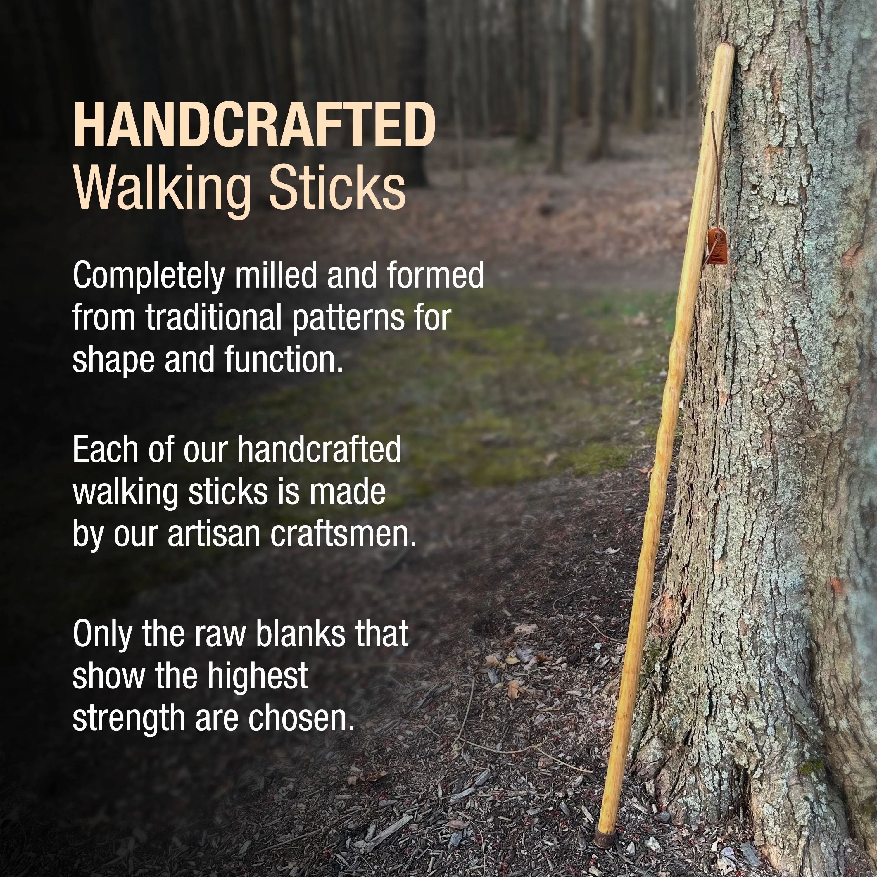 Twisted Trail Blazer Handcrafted Walking Stick - 6pk