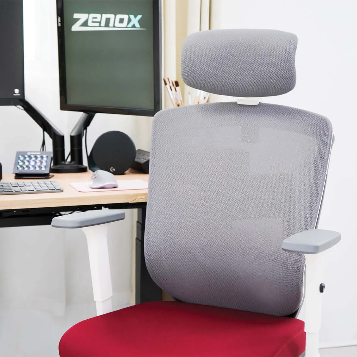 Zenox Ergonomic - Zagen Office Chair (Mesh & Foam/Black)