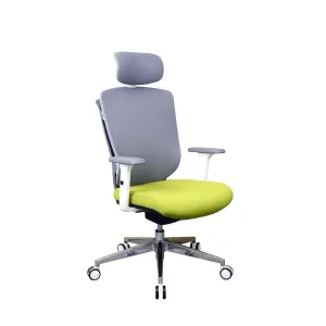 Zenox Ergonomic - Zagen Office Chair (Mesh & Foam/Green)